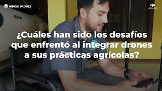 El Productor de Arroz que Confía en INDIGO DRONES para Cultivos Más Eficientes [upl. by Irrabaj674]