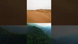 Amazon Forest and Sahara Desert is connected shorts [upl. by Annoet]