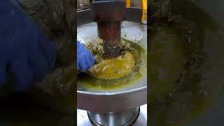 Safflower oil extraction process l Safflower cold pressed oil l Agribi safflower oil l करडई तेल [upl. by Fitton]