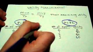 Utility Maximization Rule amp How to use it AP Microeconomics Study Guide Practice Test [upl. by Correy455]