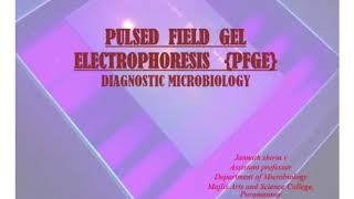 Pulsed Field Gel ElectrophoresisDiagnostic MicrobiologyPFGE [upl. by Freida826]