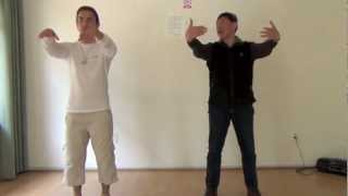 Lin Housheng teaching Taiji Qigong Shibashi Fabrice Piche [upl. by Trevlac]