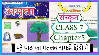 prahelika class 7 sanskrit  bihar board class 7 sanskrit chapter 5  class 7 sanskrit bihar board [upl. by Osnola799]