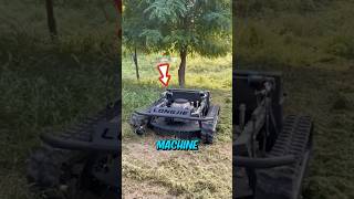 Cette machine peut raser une forêt en quelques minutes  🌲🚜 [upl. by Ahsieym]