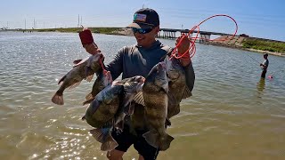 Fishing for BLACK DRUM Packery Channel Bridge Corpus Christi Tx [upl. by Eliot]