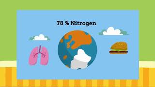 Environmental Science Lesson 8 Biogeochemical Cycles in Ecosystems [upl. by Staley]