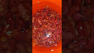 Soaking beans 3 different kinds [upl. by Ahsinelg507]