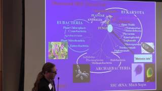 Evolution of Meiosis  John Logsdon  EvSex [upl. by Athene]