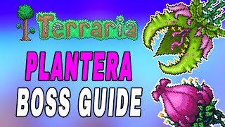 Terraria How To Beat amp Defeat Plantera EASY Tutorial Boss Fight Guide [upl. by Esinaej18]