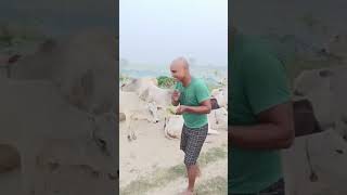 Kacha badam Baja badam comedy reels bhai funny [upl. by Ramso]