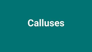 Calluses Meaning and Pronunciation [upl. by Ahsoym]