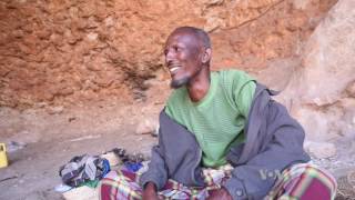 For Trade in Frankincense Harvesters Risk Life and Tree Limb [upl. by Ahsoyek]