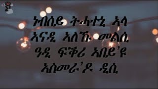 Tesfalem Arefaine Korchach  Asmera Do DC Lyrics Video [upl. by Eemiaj]