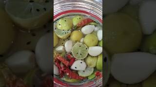 How to make Lemon PicklePreserved Lemon [upl. by Bernadette510]