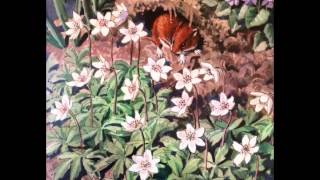 Tunnicliffe Spring in Ladybird Books [upl. by Affay760]