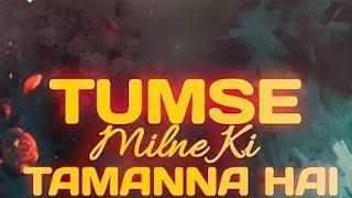 Tumse Milne Ki Tamanna Hai  santoor instrumental spbalasubrahmanyam salmankhan madhuri 90s [upl. by Durward]