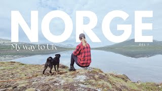 Min resa genom Europa börjar nu Norge Del 1 [upl. by Klehm11]