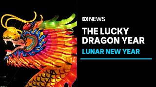 Lunar New Year 2024 What does the year of the dragon mean  ABC News [upl. by Voccola158]