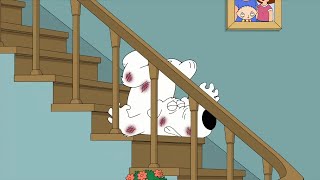 Family Guy  Brian fell down the stairs [upl. by Merla]