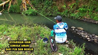 Mancing ikan untuk di lepas ke penggalian danau TABA [upl. by Alliehs]