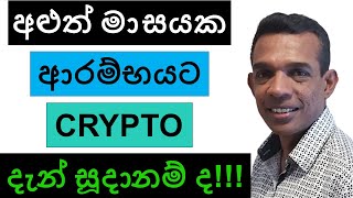 අළුත් මාසයක ආරම්භයට CRYPTO දැන් සූදානම් ද  BITCOIN [upl. by Ennyleuqcaj]