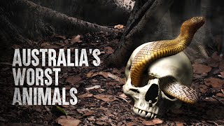 How to Survive Australias Deadliest Animals [upl. by Negiam873]