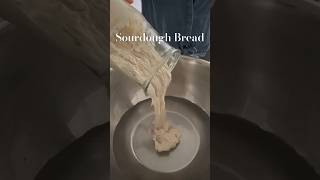 How to make sourdough bread sourdough [upl. by Wadsworth]