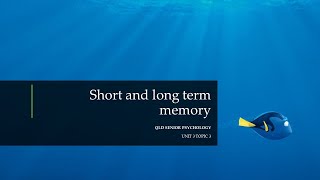 Short Term and Long Term Memory [upl. by Panter697]