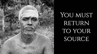 Ramana Maharshi  That Which Sees  Advaita [upl. by Arramahs]