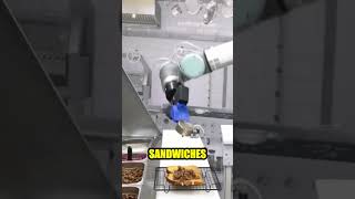 Sandwich BOTs Stealing My Job jobsearch [upl. by Onateag]