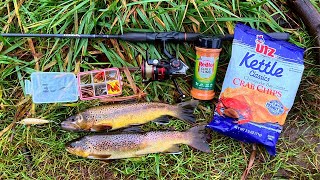 Brown Trout Catch n Cook  ChipCrusted Fish [upl. by Nath576]