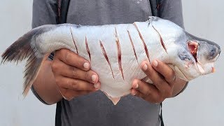 Pangasius Fish Fry Recipe  Amazing Way to Cutting Pangasius Fish  How To Cook Pangasius Fish [upl. by Anib621]