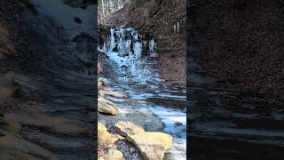 Sheepadoodle at the Falls sheepadoodle waterfall hiking nature doodledogs [upl. by Eon]