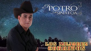 El Potro De Sinaloa Corridos Mix [upl. by Akirea]