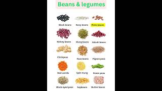 Beans and Legumes Names English Vocabulary with Pictures English Names with Pictures Shortfeeds [upl. by Fleur]