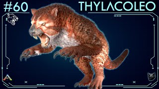 TODO SOBRE EL THYLACOLEO 60  ARK Survival Evolved  Dossiers La Isla [upl. by Soilisav]