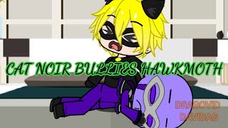 Cat Noir Bullies Hawk Moth  Miraculous Ladybug Gacha Skit [upl. by Felder852]