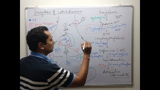 Adrenergic Pharmacology Part 1 [upl. by Eelyrehc984]