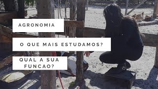 Agronomia O que vai estudar e qual a função do agrônomo Confirme sua profissão [upl. by O'Doneven988]