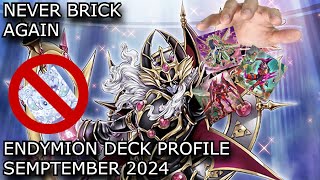 THE BEST ENDYMION DECK YOULL EVER SEE  ENDYMION DECK PROFILE SEMPTEMBER 2024 [upl. by Dloreg]