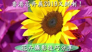 攝影教學 《 花卉攝影技巧分享 》Part I 香港花卉展2019 [upl. by Nanine]