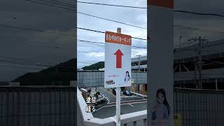 夏休みの自由研究的な感じ『塗り替えた横断歩道橋に再び錆が浮き始めるまで何年かかる？塗替えサイクルは何年？』と観察していく 歩道橋 横断歩道橋 塗装塗替え [upl. by Knowlton]