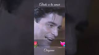 Chayanne  Atado A Tu Amor Carlos Jara Music [upl. by Nalra]