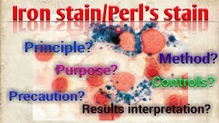 Perls stainIron stainPrussian Blue ReactionHematologySpecial stainSTAR LABORATORY [upl. by Adnilasor]