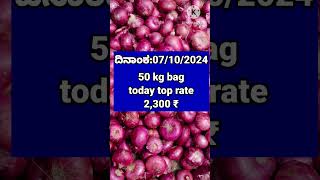 Bangalore Karnataka onion market today top rates [upl. by Horne303]