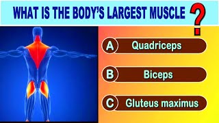 Guess The Human Body Parts 🧠👀  General Knowledge Quiz [upl. by Nosirrah]