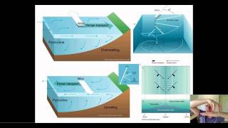 Ocean Water Part 5 Life amp The Ocean Water [upl. by Neetsuj887]