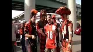 Bengals Growl Fight Song [upl. by Stephine]