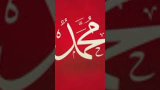 beautiful Islamic video ❤️ islamic trending viral status shorts youtubeshorts [upl. by Sirronal]