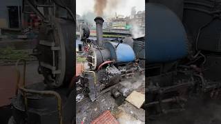 Tightening the 🔩Bolts Darjeeling Heritage Steam Engine [upl. by Hirschfeld269]